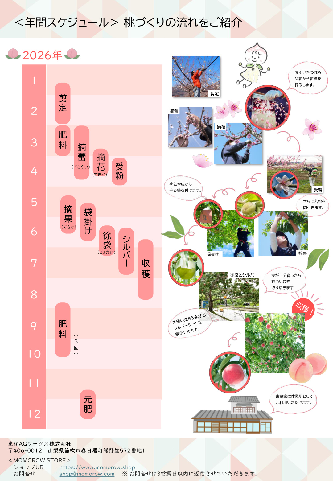 桃の木1本オーナー チラシ 2ページ目